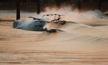 Tsunami Seafood Grill & Bar