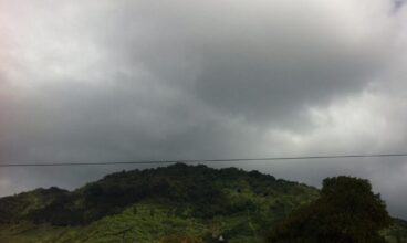 Kaltepet, los naranjos
