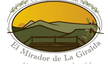 EL MIRADOR DE LA GIRALDA