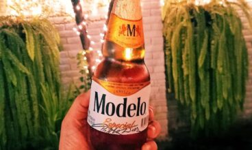 Zona Beer 503
